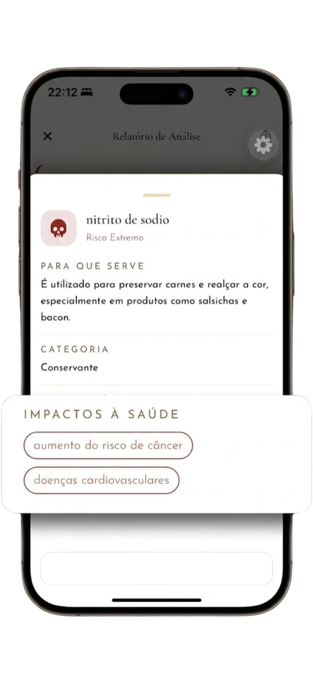 Tela do Bastio explicando para que serve o nitrito de sódio e seus impactos à saúde